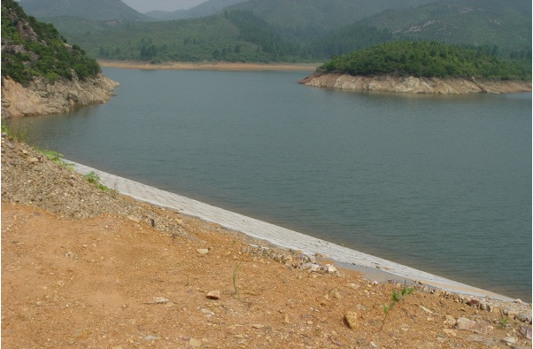 (2014)新洲鎮(zhèn)三丫水庫除險加固工程項目
