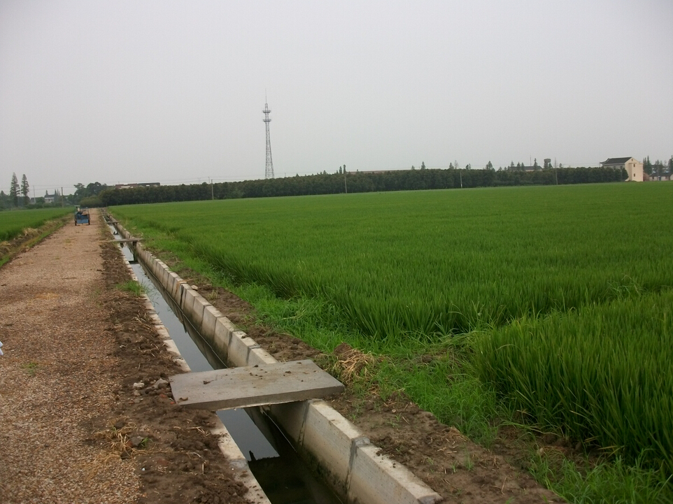 （2014）番禺區(qū)石樓鎮(zhèn)群星上涌南岸路面加高及河涌清淤工程